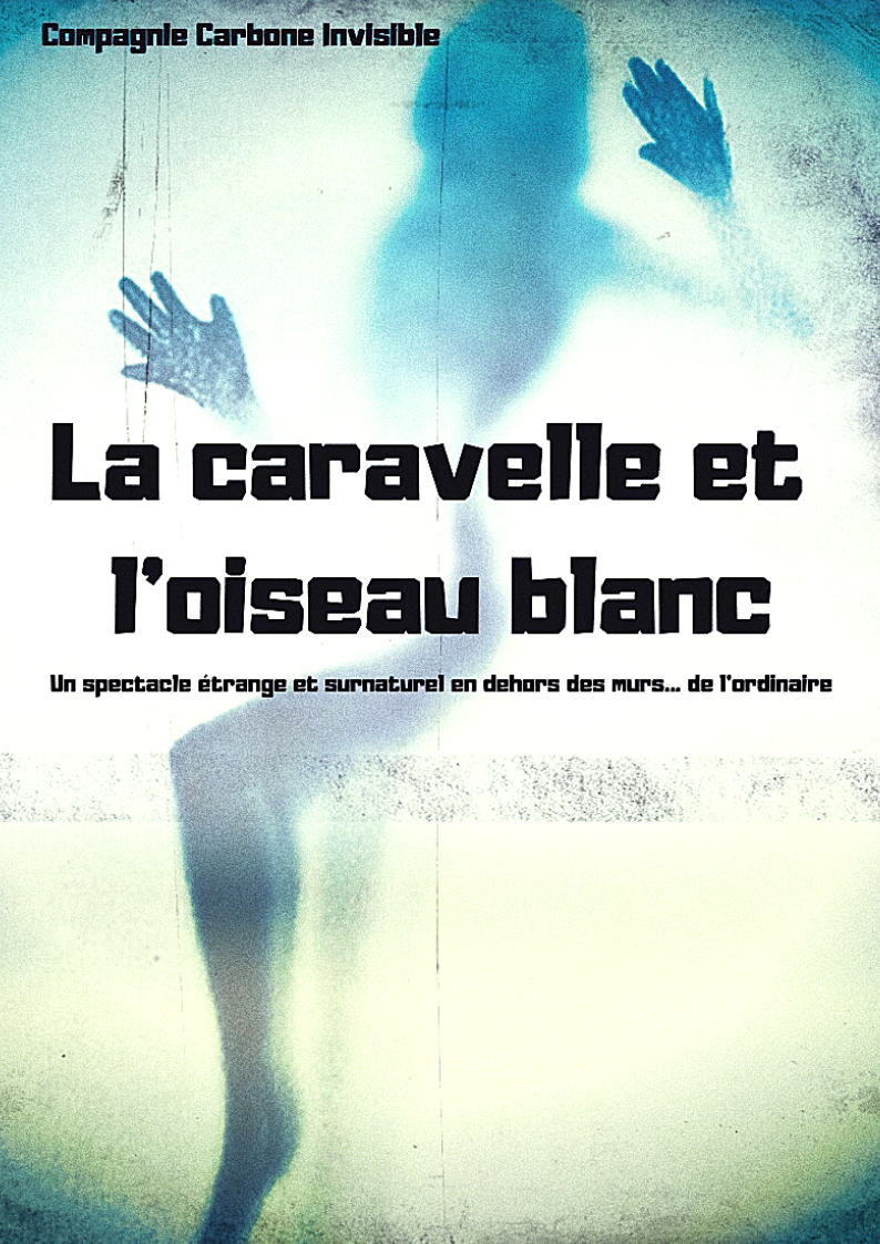 La caravelle et l'oiseau blanc